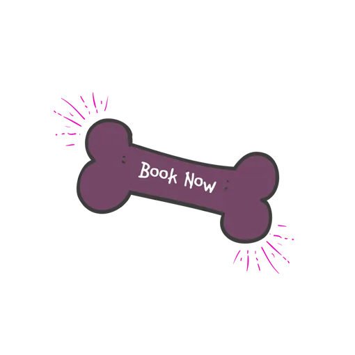 book now
