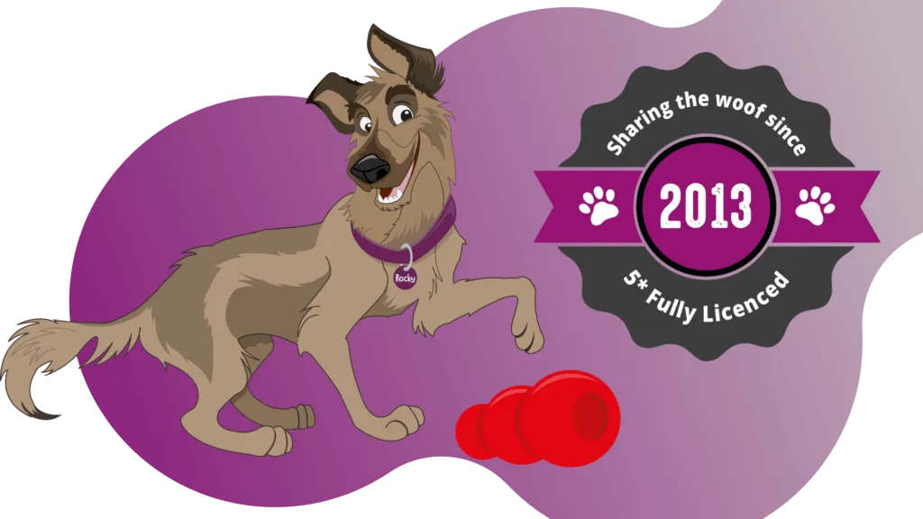 https://thedoggyhouse.co.uk/wp-content/uploads/2020/07/rocky-right-banner-fade.png