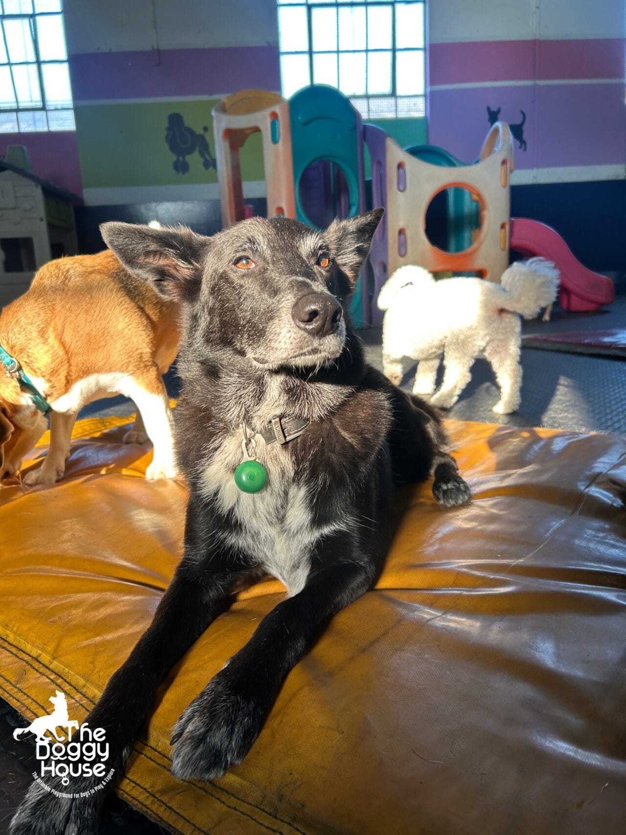 Photo 07-11-2024, 16 40 31 (5)