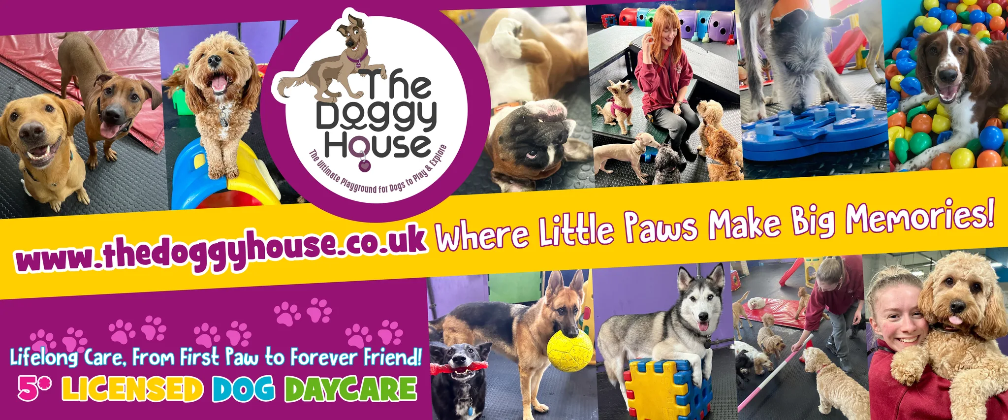 the doggy house dog daycare altrincham manchester trafford