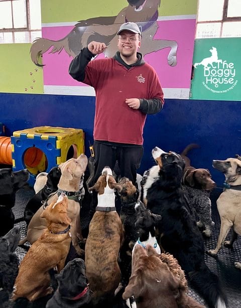 the doggy house group dog training